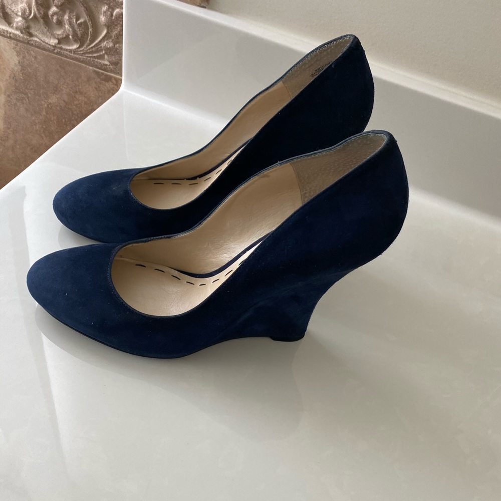Blue Wedges